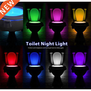 Tet Body Motion LED Smart Nightlight Off Activated 1PC