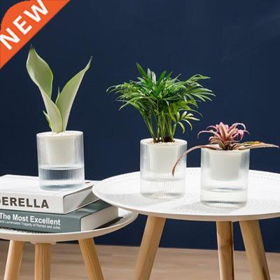 Self Watering Plastic Plant Pot with Rope Clear Water Contai