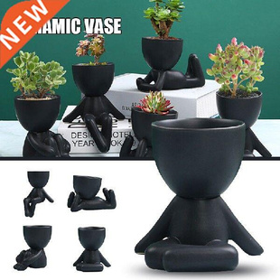 Decorative Succulent Planter Pot With Drainage Hole