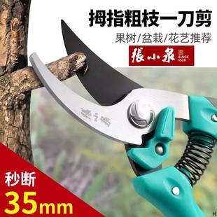 张小泉修枝剪刀果树采摘专用园林修剪树枝家用盆景花艺师剪刀神器