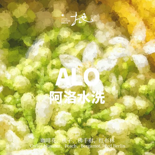 ALO水洗  浅度烘焙 水洗处理  Arabica  手冲精品咖啡