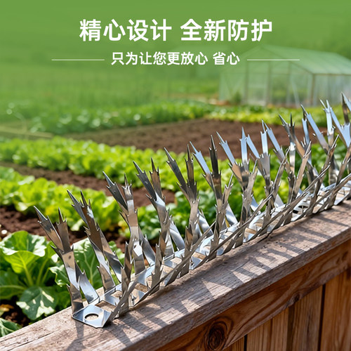 304不锈钢加密驱鸟防鼠刺防鸟刺