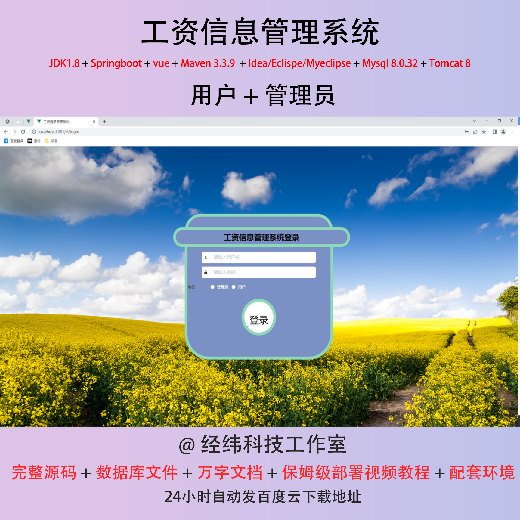 java springboot vue2 工资信息管理系统 管理系统在线平台网站