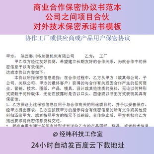 商业合作保密协议书范本公司之间项目合伙对外技术保密承诺书模板