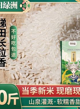 稻田绿洲50斤梯田长粒香米新米晚稻丝苗米煲仔饭蛋炒饭猫牙米