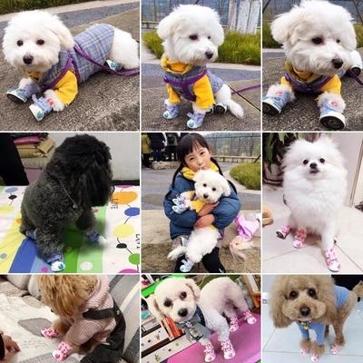 25套新网VB17001红布宠物草帆莓鞋防滑透气比熊狗泰迪小型犬狗鞋