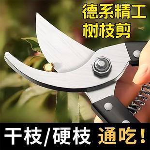 剪刀果树剪刀修枝剪花剪树枝果树园艺专用花卉剪省力剪子园林剪刀