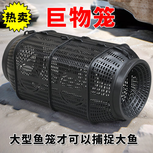 新款捕鱼抓鱼笼塑料鱼笼虾笼只进不出黄鳝渔网龙虾网笼捕虾网鱼虾