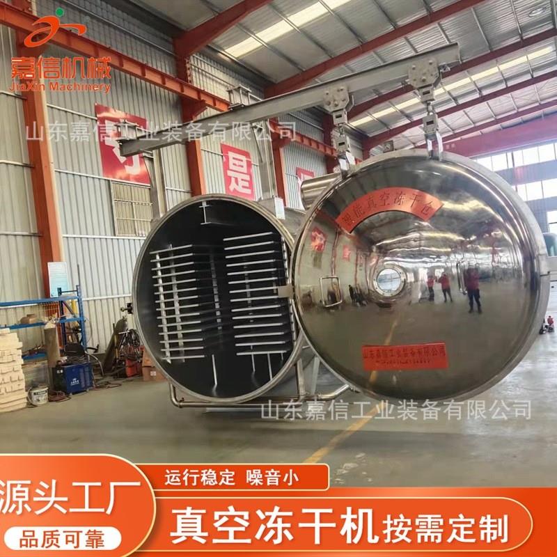 草莓冻干机苹果冻干设备 水果柠檬真空冷冻干燥机真空冻干机厂家
