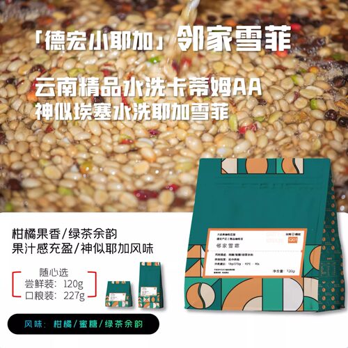 48小时现烘焙 浅中烘精品卡蒂姆手冲咖啡豆柑橘蜜糖绿茶余韵