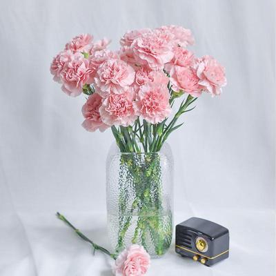 AB级粉色康乃馨鲜花母亲节康乃馨