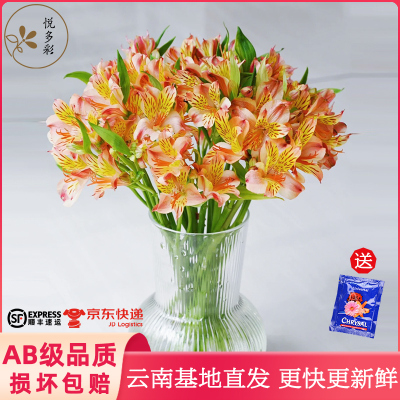 悦多彩10朵基地直发顺丰冷链