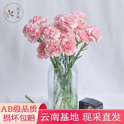 AB级康乃馨鲜花母亲节礼物花束