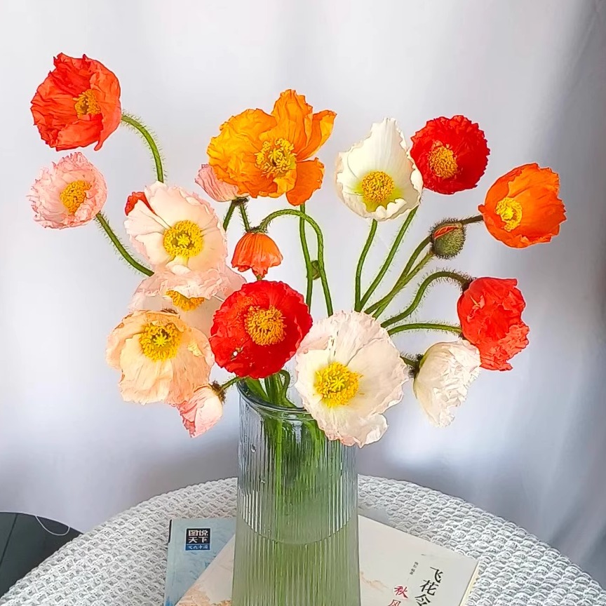 虞美人鲜花轻奢插花室内水培花卉