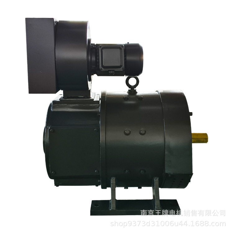 王牌电机 Z2直流电机 Z2-101 100KW 220V 1500r/min IC06 IP23