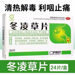 广宇制药 冬凌草片24片/盒清热解毒扁桃体炎咽炎口腔炎