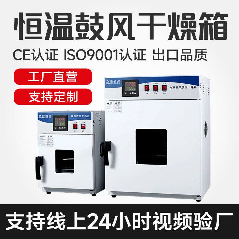 电热鼓风干燥箱实验室器皿烘干箱草药水果干高温烤箱现货速发