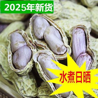 农家水煮湿烤白晒龙岩花生盐水