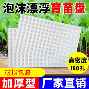 泡沫漂浮育苗盘水上漂浮托盘辣椒烤烟育苗瓜苗瓜果蔬菜种植专用盘