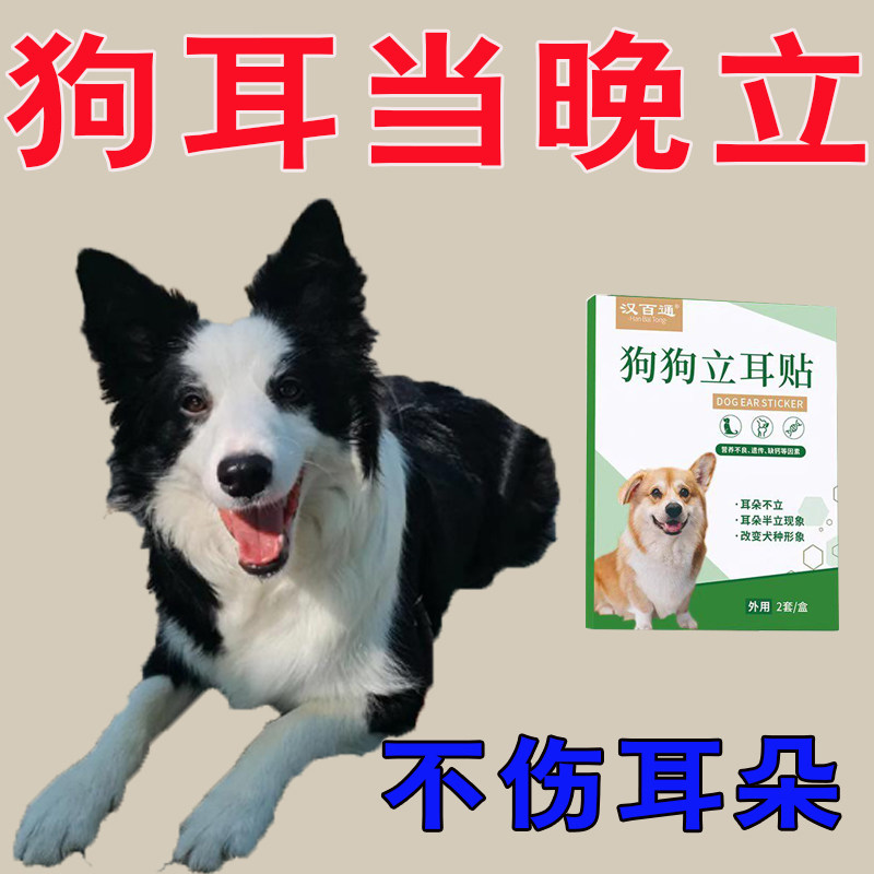边牧小狗立耳神器狗狗立耳贴德牧西高地雪纳瑞立耳辅助器耳朵固定