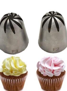 Russian Tips Pastry Large Size 2 Pcs Cream Steel Stainless N