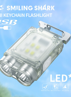 Mini portable work light keychain light outdoor flashlight