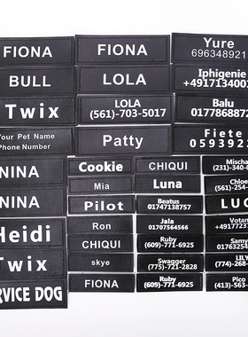 Personalized Pet Harness Collar Vest Dog's Name Labe