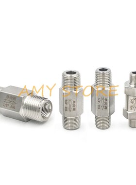 1Pc Male Male BSP Threaded SS304 Stainless Steel Check Valv