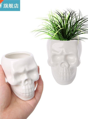 Creative Skull Ceramic Pot Green Succulent Planter Plant Co