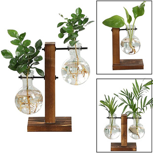 Simple DIY Terrarium Hydroponic Plant Vases Wooden Frame