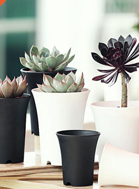 Brief Black White Flower Pot Plastic Succulent Plant Pot Thi