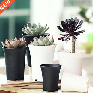 Brief Black White Flower Pot Plastic Succulent Plant Pot Thi