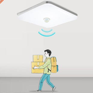 PIR LED Ceiling Light AC85-265V 9W 24W 36W Cold Warm White M