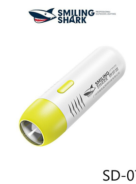 Colorful mini flashlights for children in outdoor summer cam