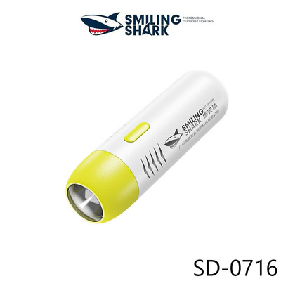 Colorful mini flashlights for children in outdoor summer cam