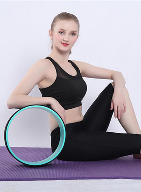 Practical Abdominal Wheel Professional Widely Applied Back