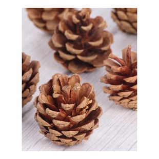 10pcs Natural Pine Cones Photo Props Accessories Christmas D