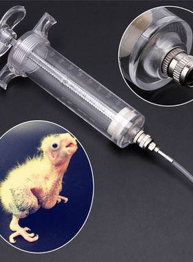 Oiseau Transparent fournitures mangeoire oiseau alimentation