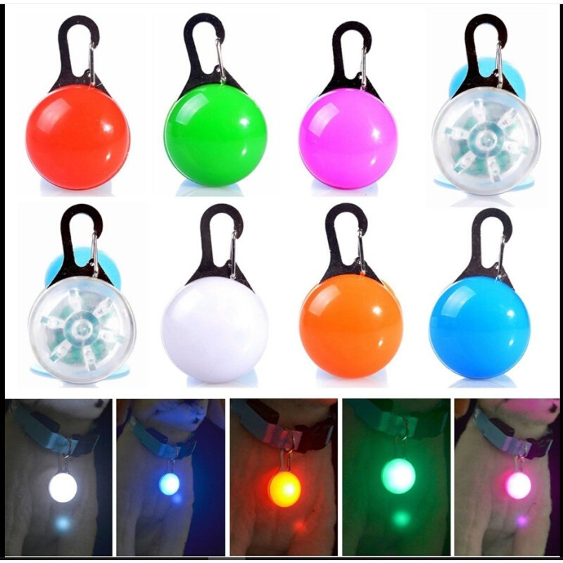 LED Dog Tag Collar Light Up Pet Puppy Flashing See Night
