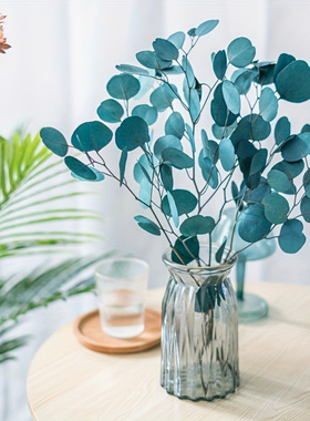 100g Eucalyptus Apple Leaf Natural Dried Flower Round Leaves