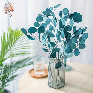 100g Eucalyptus Apple Leaf Natural Dried Flower Round Leaves