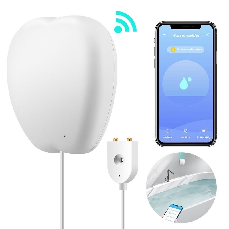 Water Monitor Smart Home Water Monitoring to Detect Leaks