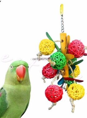 Colorful Funny Pet Birds Parrot Parakeet Cockatiel Chew Ball