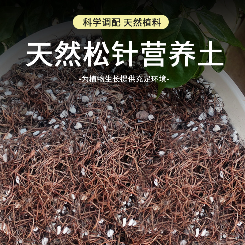 默耘发酵松针泥炭土茶花茉莉杜鹃