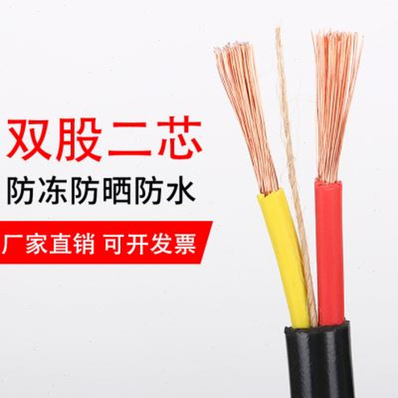 国标护套线二芯25 4 6平方电缆线电线2芯户外防冻软牛筋线带插头