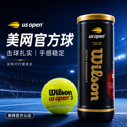 新品推荐Wilson威尔胜US OPEN美网健身网球练习训练专业比赛网球
