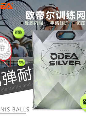 ODEA欧帝尔SILVER网球训练球DD2高弹耐打耐磨专业训练高级网球