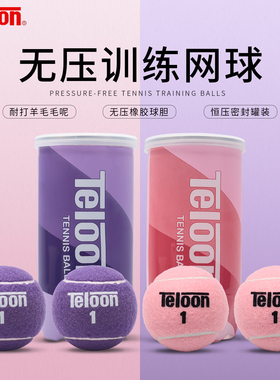 Teloon天龙网球业余比赛训练球紫色网球高弹耐打耐磨粉色训练网球