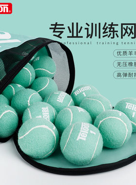 Teloon天龙网球训练球初学者专业无压训练比赛网球耐打耐磨网球