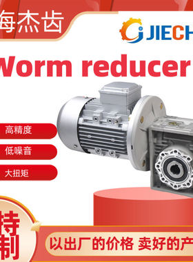 WORM REDUCER NMRV040 050 063 075 090 110蜗轮蜗杆减速机立式RV